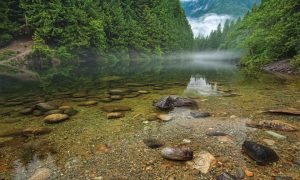 James_Wheeler_BC_Fog_River