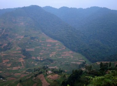 rechts het begin van het Bwindi Nationaal Park