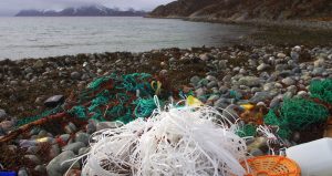 Marine litter. One winters worth. Lots of fishing gear.