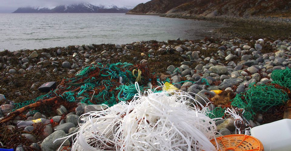 Marine litter. One winters worth. Lots of fishing gear.