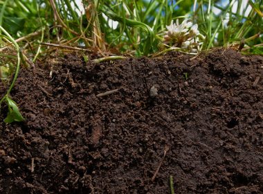 What Healthy Soil Looks Like | Natural Resources Conservation Soil Program