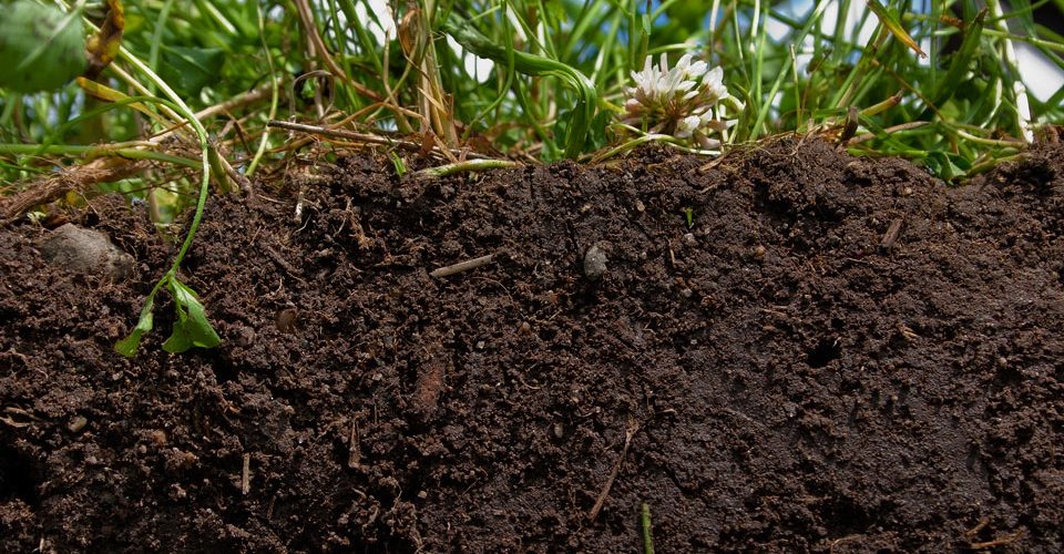 What Healthy Soil Looks Like | Natural Resources Conservation Soil Program