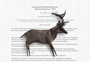 Stag on the Canadian Environmental Protection Act