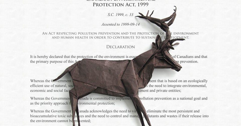 Stag on the Canadian Environmental Protection Act