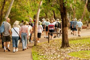 Seniors on a walk