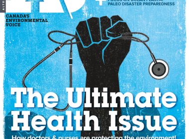 41.2 Issue Cover - Health