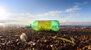 Plastic pop bottle on a beach in Costa Rica