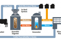 The virtuous loop: manure used to provide methane to a power generator