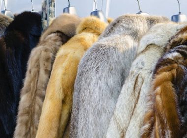 (Photo: a rack of fur coats)