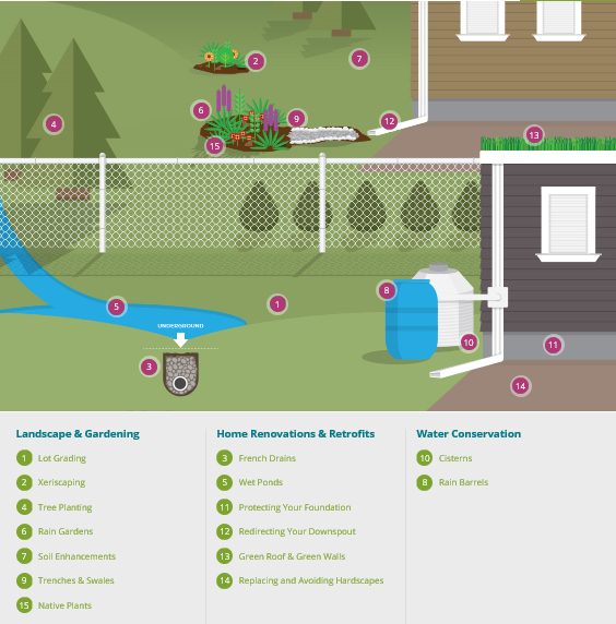 Infographic: Stormwater management techniques for your property