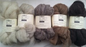 (Photo: A colour palette of All Sorts Acre wool)