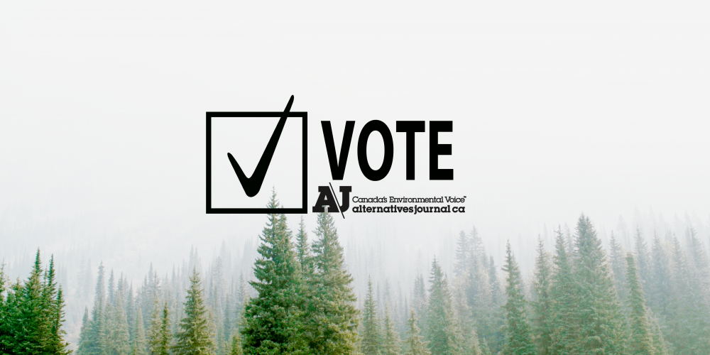 Vote with the environment in mind