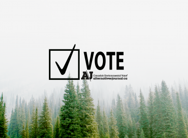 Vote with the environment in mind