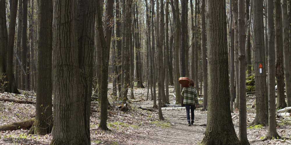 Music for a Greenbelt