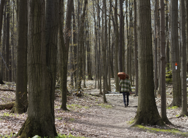 Music for a Greenbelt