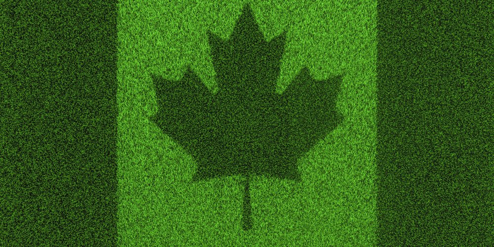 Grass flag Canada