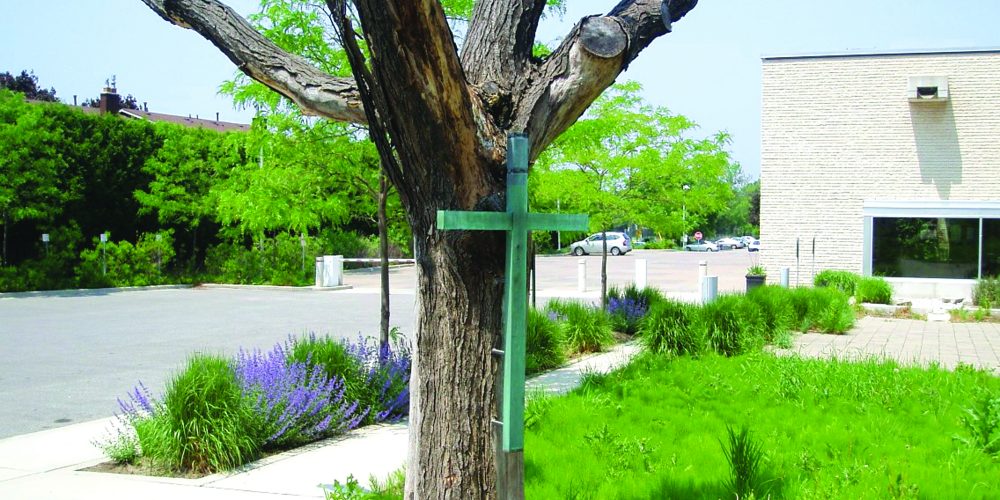 a green wooden cross is nailed to a dead tree outside a church