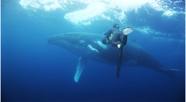 Rob zooming in on a humpback whale (Photo by Rob Barrel)