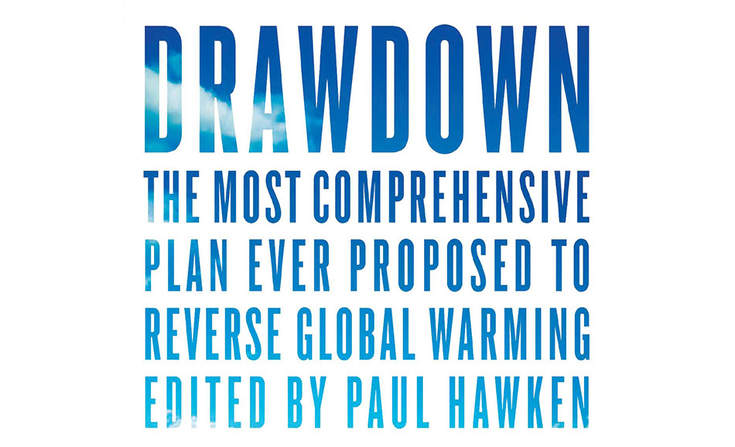 'Drawdown', edited by Paul Hawken. Penguin Books. 240 pp