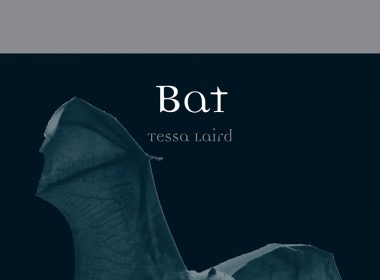 Bat by Tessa Laird