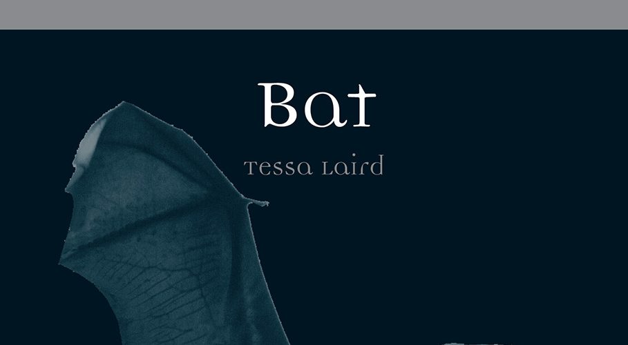 Bat by Tessa Laird