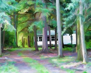 cottage in forest art