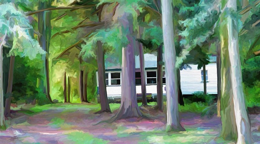cottage in forest art