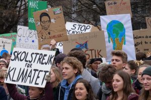 Protesters at a climate strike