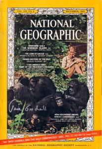 Jane Goodall on the NatGeo 1965 cover