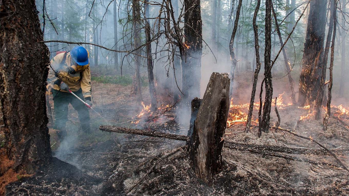 Siberian Forest Fire