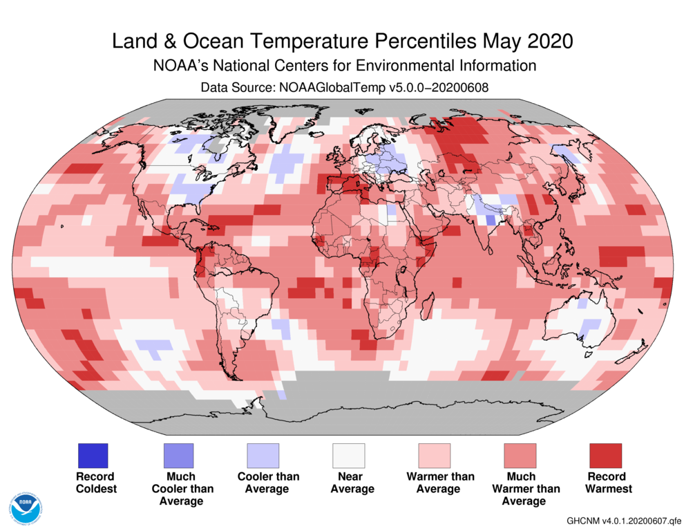 Global Surface Temperatures