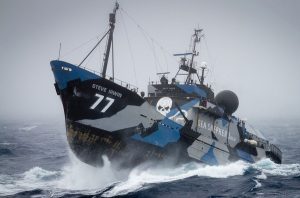 The Sea Shepherd