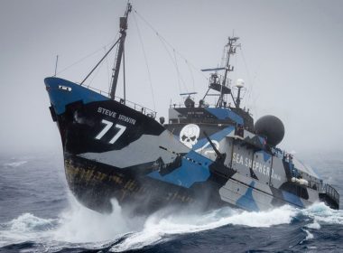 The Sea Shepherd