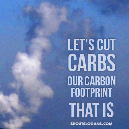Small Steps to Reduce Your Carbon Footprint Can be One Giant Leap for Mankind by Shanella Ramkissoon