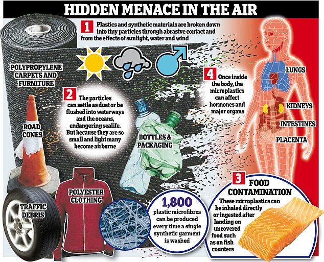 Airborne Microplastic Isn’t Superfantastic by Shanella Ramkissoon