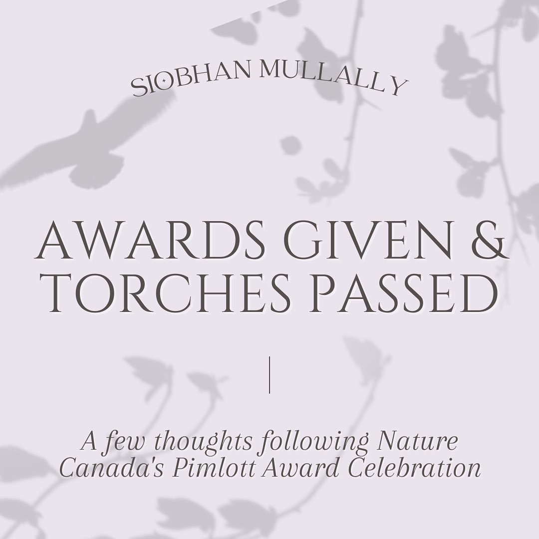 Awards Given and Torches Passed - A\J's Siobhan Mullally reflects on the recent Pimlott Award celebration by @naturecanada_ honoring the lives of Margaret Atwood and Graeme Gibson, and the impacts it had on her as a young woman in the environmental space! Click the link in our bio or read at alternativesjournal.ca today! 
.
.
.
#conservation #wildlife #ornathology #atwood #graemegibson #nature #canada