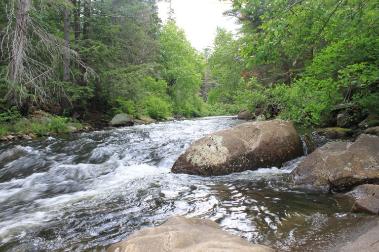 Researching Canada's Ecological Footprint and Biocapacity