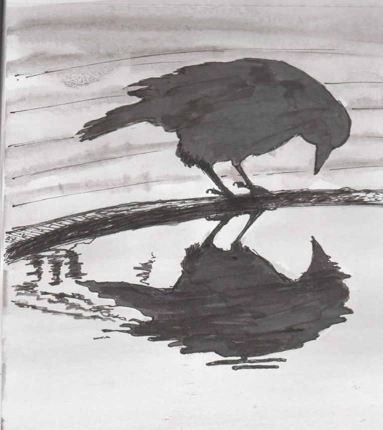 Bird Reflection